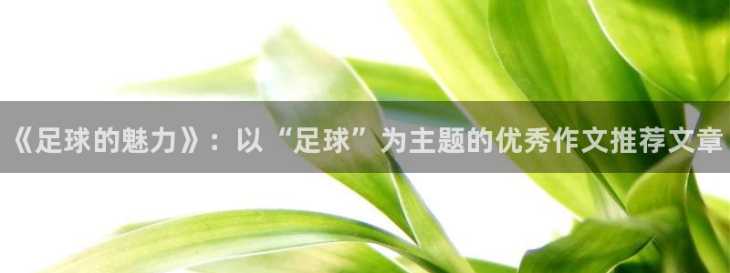 尊龙官网下载招商电话：《足球的魅力》：以“足球”为主
