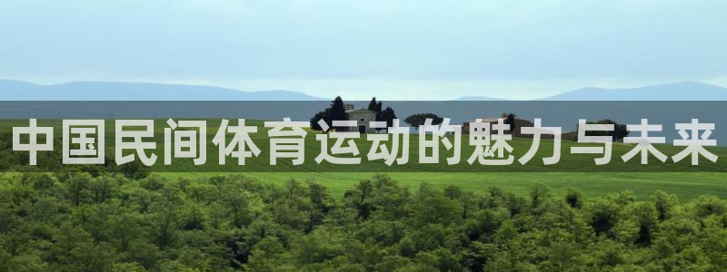 尊龙官网下载是干嘛的公司：中国民间体育运动的魅力与未来