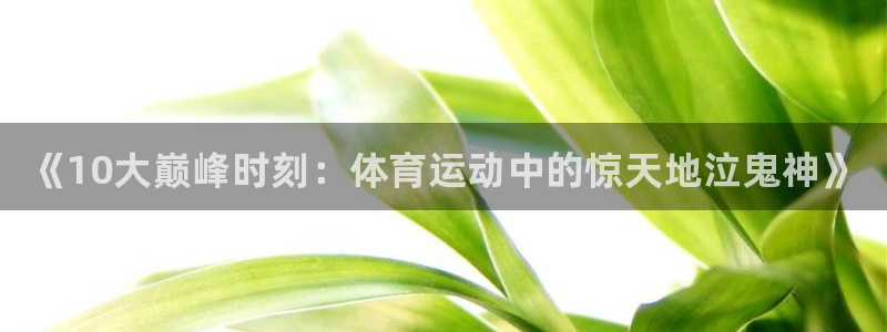 尊龙官网下载招商电话号码是多少啊：《10大巅峰时刻：体育运动