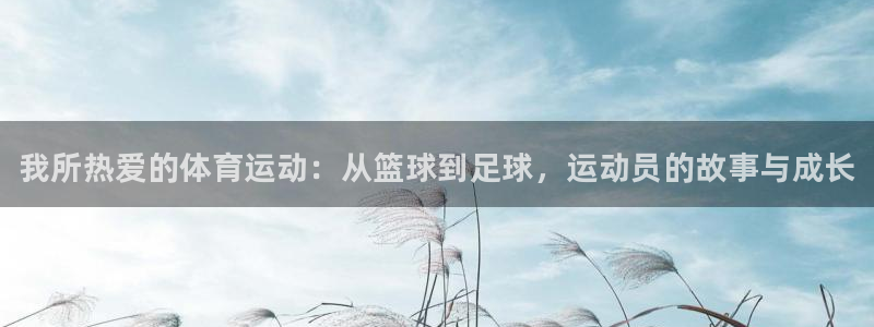 尊龙官网下载招商电话号码查询是多少：我所热爱的体育运