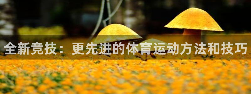 尊龙官网下载平台注册：全新竞技：更先进的体育运动方法和技巧