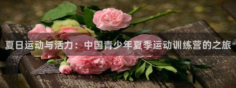 尊龙官方正版app代理：夏日运动与活力：中国青少年夏