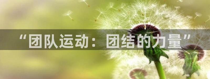 尊龙官方正版app新能源：“团队运动：团结的力量”