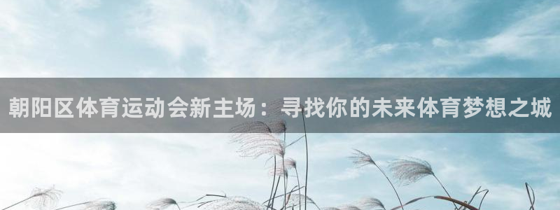 尊龙官方正版app集团官网首页：朝阳区体育运动会新主