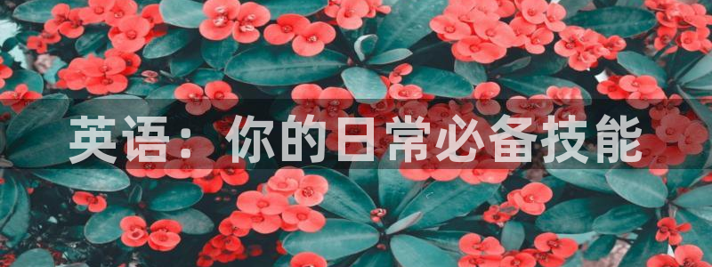 海南尊龙官网下载发展怎么样：英语：你的日常必备技能