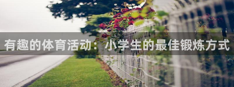 尊龙官网下载招商电话号码是多少啊：有趣的体育活动：小