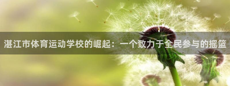 尊龙官网下载是干嘛的公司：湛江市体育运动学校的崛起：