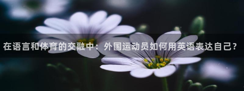 尊龙官方正版app娱乐平台：在语言和体育的交融中：外