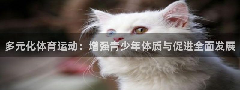 尊龙官网下载平台假的吗是真的吗吗：多元化体育运动：增