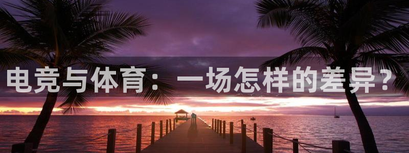 尊龙官方正版app新能源：电竞与体育：一场怎样的差异？