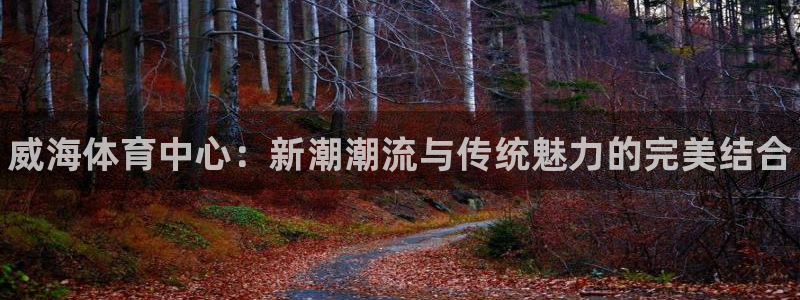 尊龙官网下载招商电话号码是多少：威海体育中心：新潮潮流与传统