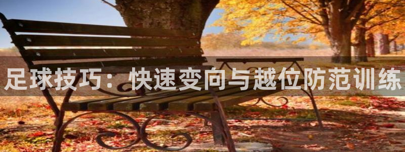 尊龙官网下载招商电话号码查询是多少：足球技巧：快速变向与越位