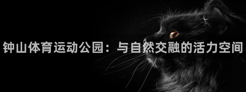 尊龙官方正版app集团官网首页：钟山体育运动公园：与自然交融