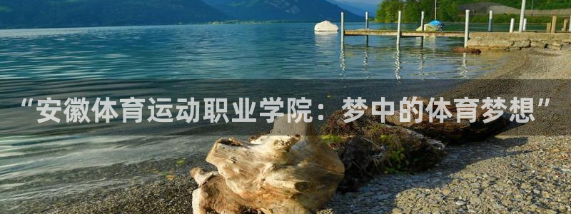 尊龙官网下载招商电话号码：“安徽体育运动职业学院：梦中的体育