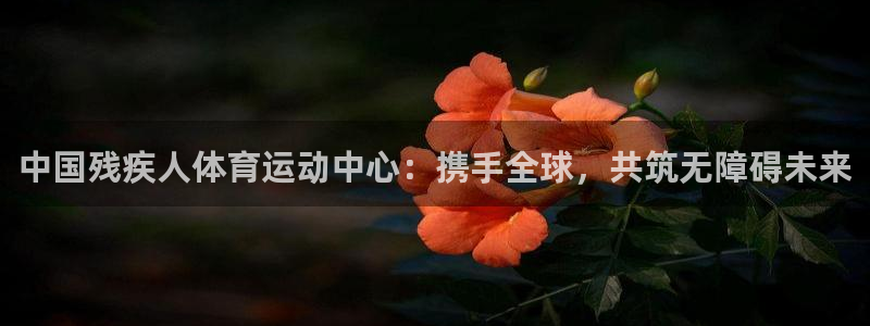 尊龙官方正版app集团官网首页网址：中国残疾人体育运动中心：