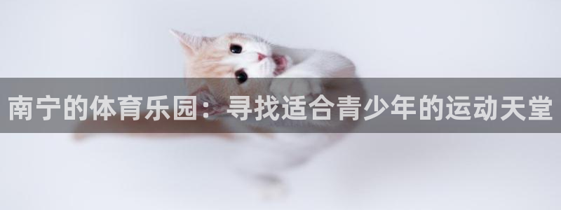 尊龙官方正版app娱乐下载：南宁的体育乐园：寻找适合青少年的