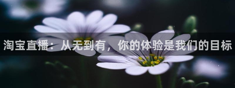 蓝鲸体育转播：淘宝直播：从无到有，你的体验是我们的目标