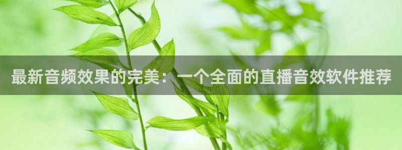 蓝鲸直播改名叫什么了：最新音频效果的完美：一个全面的直播音效软件推荐
