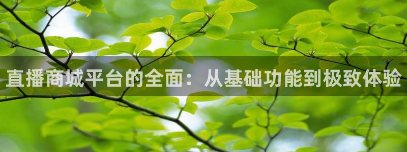蓝鲸直播平台官网：直播商城平台的全面：从基础功能到极致体验