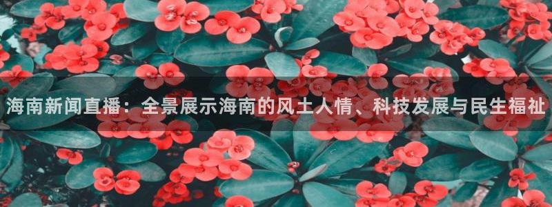 丁伟杰蓝鲸体育直播间：海南新闻直播：全景展示海南的风土人情、科技发展与民生福祉