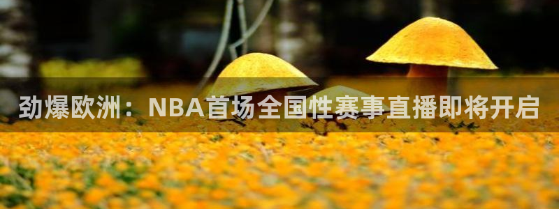 蓝鲸体育免费直播：劲爆欧洲：NBA首场全国性赛事直播即将开启