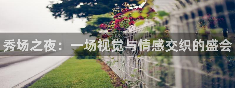 蓝鲸直播 app下载：秀场之夜：一场视觉与情感交织的盛会