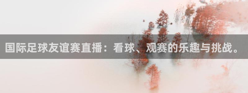 蓝鲸直播软件：国际足球友谊赛直播：看球、观赛的乐趣与挑战。