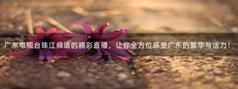 蓝鲸直播下载安装：广东电视台珠江频道的精彩直播，让你全方位感受广东的繁华与活力！